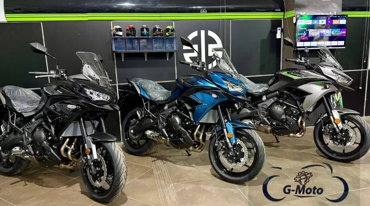 Kawasaki Versys 650 (2025 - 26)