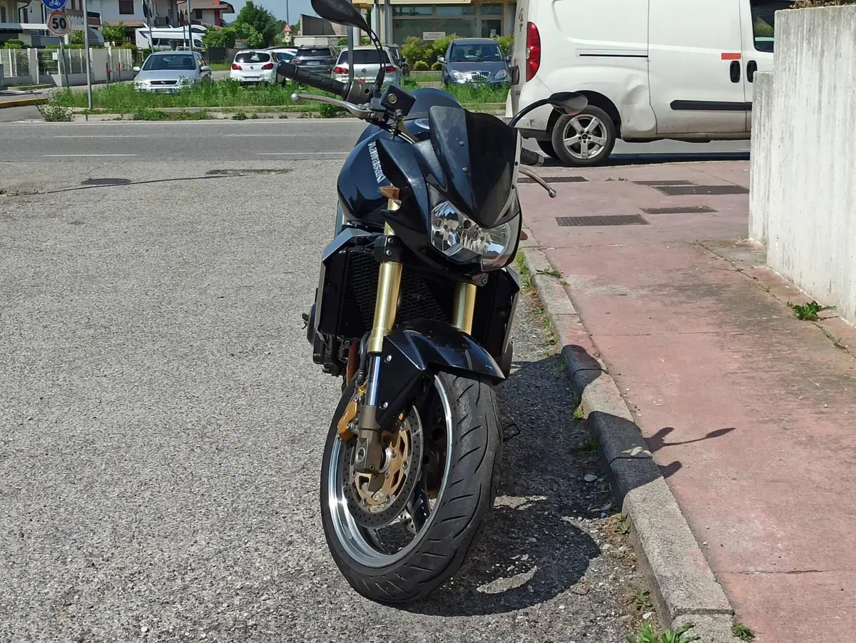 Kawasaki Z 1000 (2003 - 06) (2)