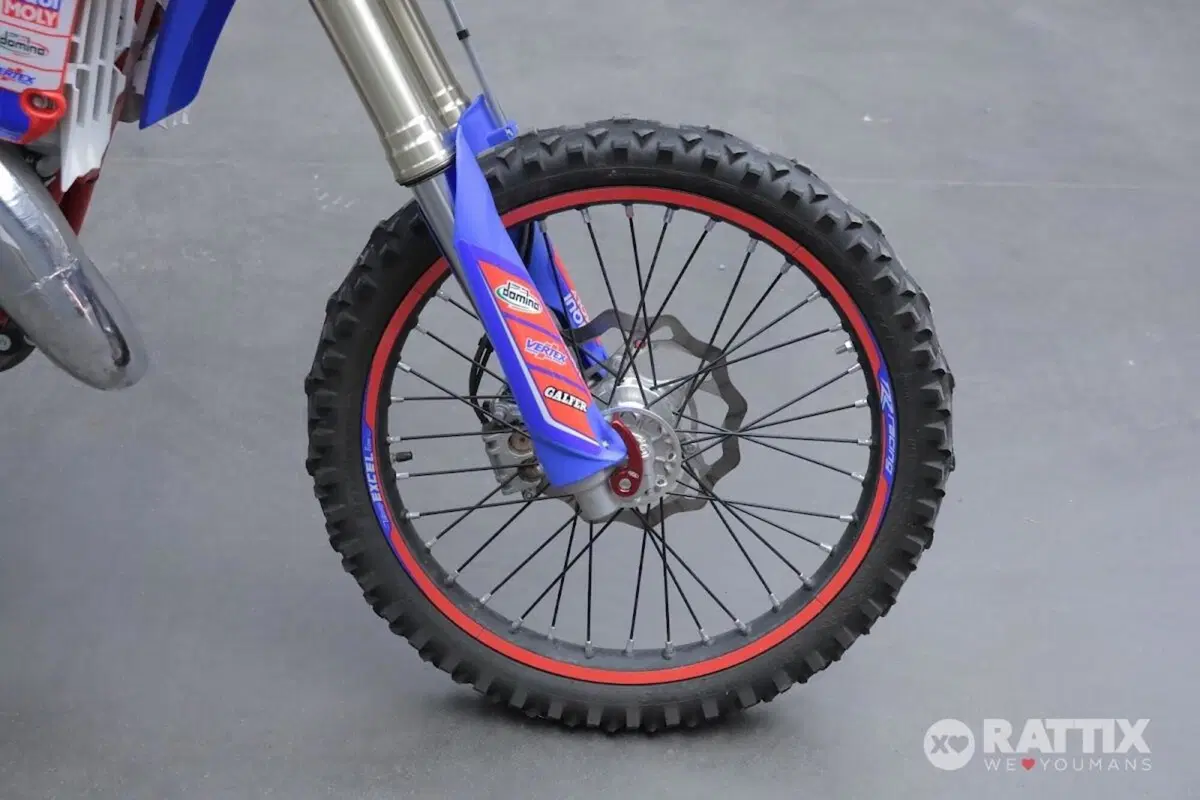 Betamotor RR 125 2T Enduro (2024) (10)