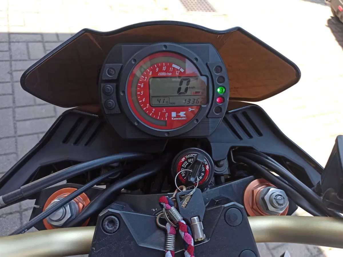 Kawasaki Z 1000 (2003 - 06) (10)