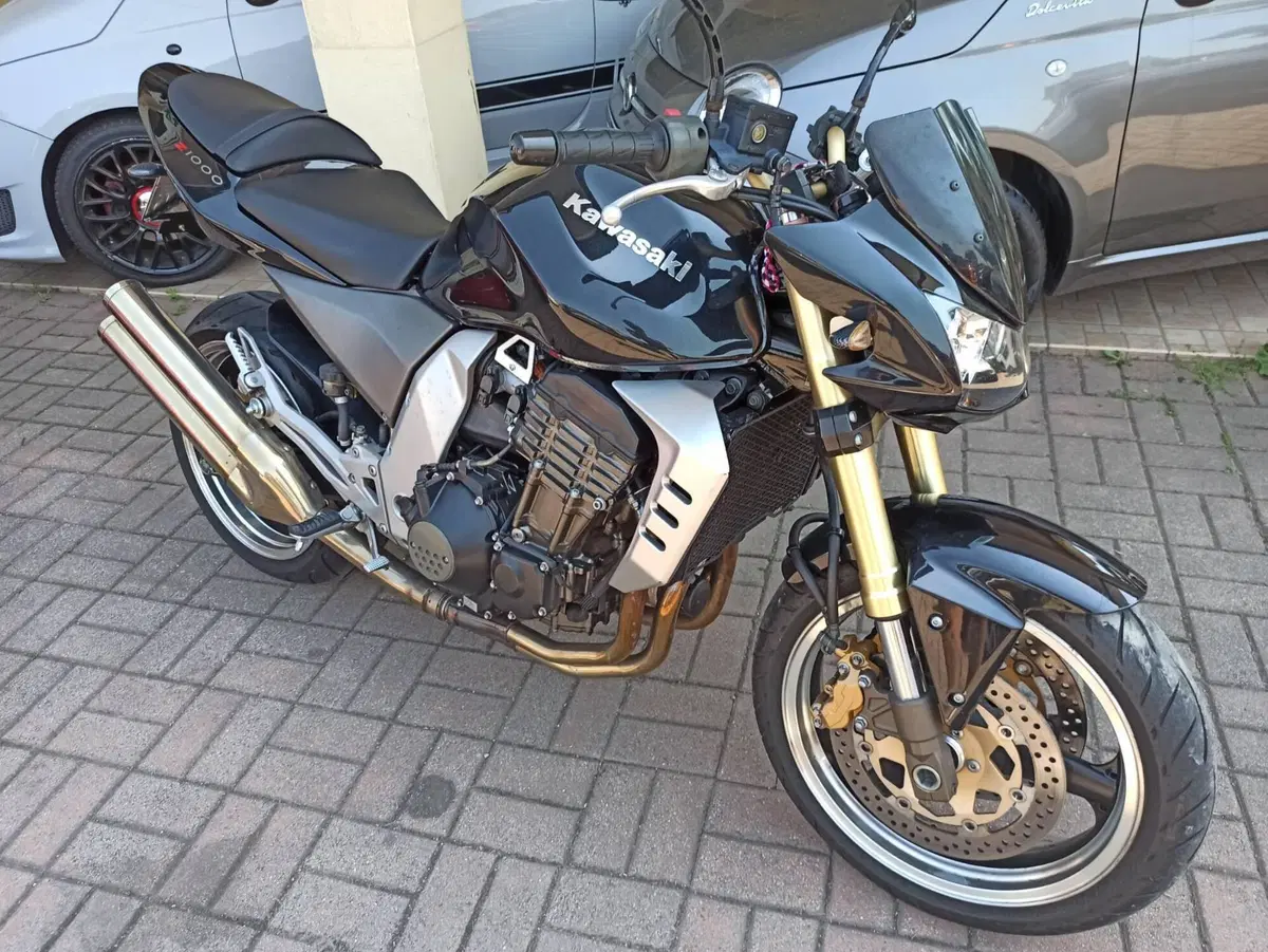 Kawasaki Z 1000 (2003 - 06) (11)