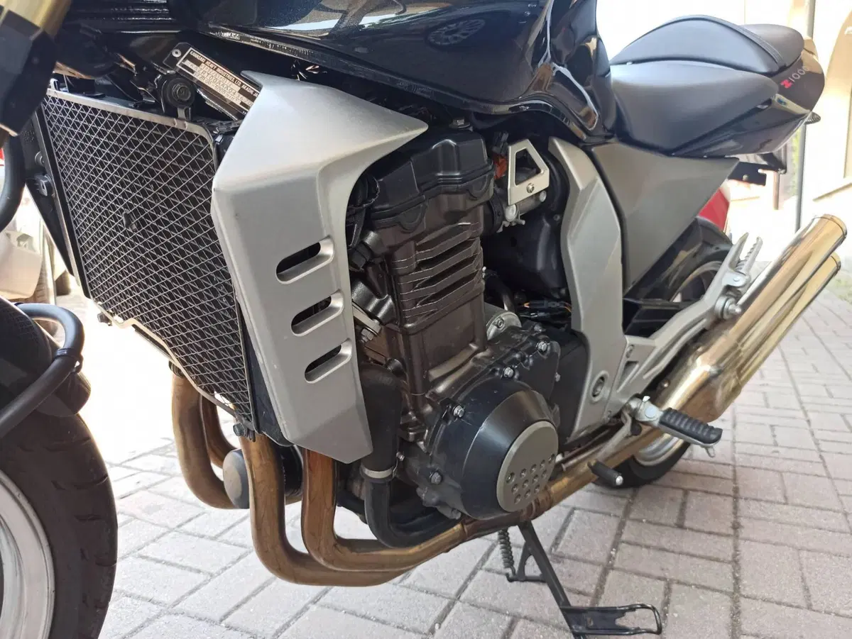 Kawasaki Z 1000 (2003 - 06) (18)