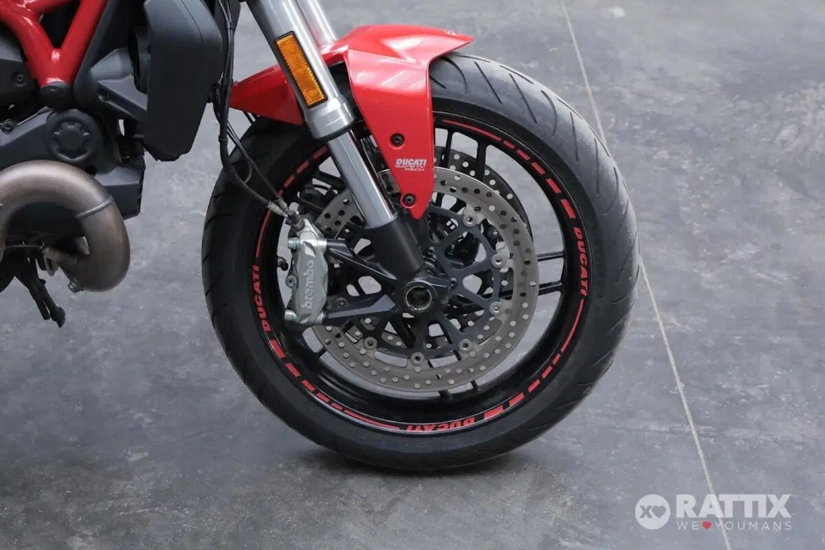 Ducati Monster 821 ABS (2014 - 17) (9)