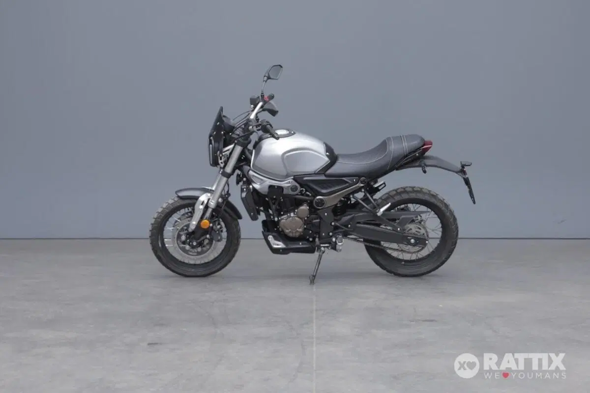 Voge Trofeo 300ACX Scrambler (2021 - 26) (3)