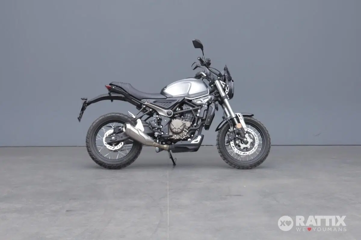 Voge Trofeo 300ACX Scrambler (2021 - 26) (4)