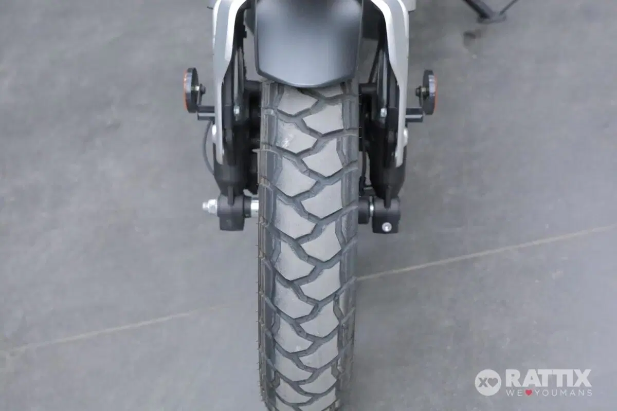 Voge Trofeo 300ACX Scrambler (2021 - 26) (10)