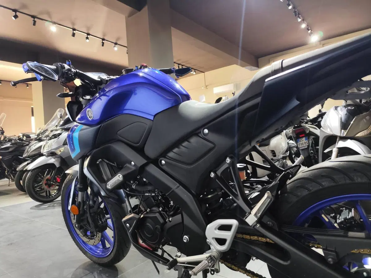 Yamaha MT-125 (2025 - 26) (7)