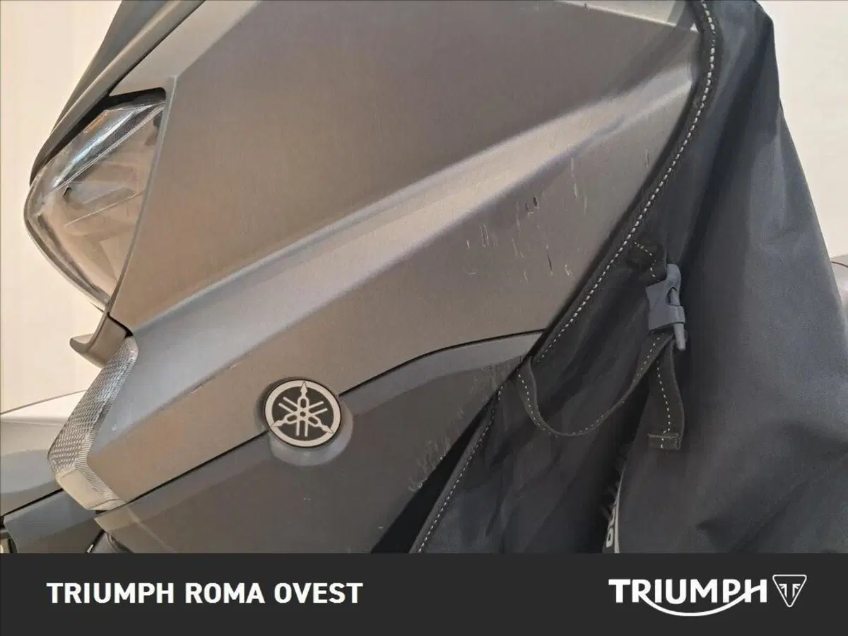 Yamaha X-Max 250 (2014 - 16) (7)