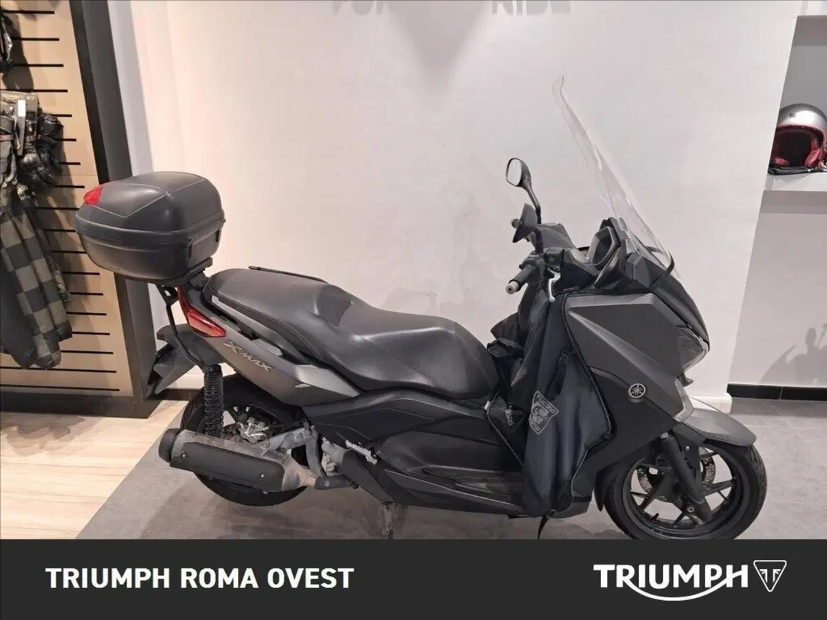 Yamaha X-Max 250 (2014 - 16) (2)