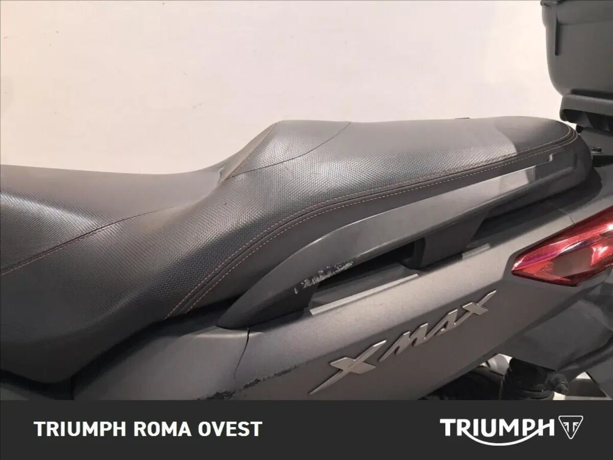 Yamaha X-Max 250 (2014 - 16) (8)