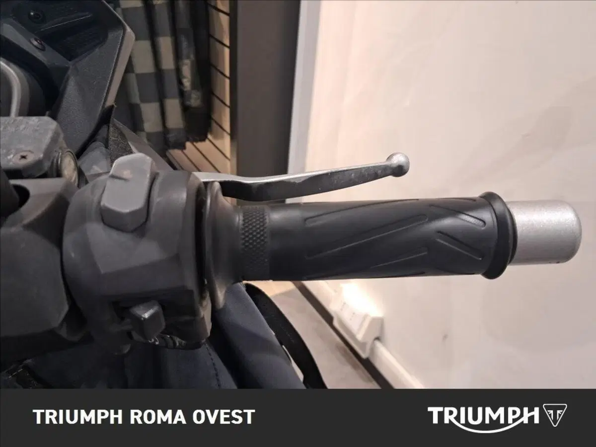 Yamaha X-Max 250 (2014 - 16) (12)