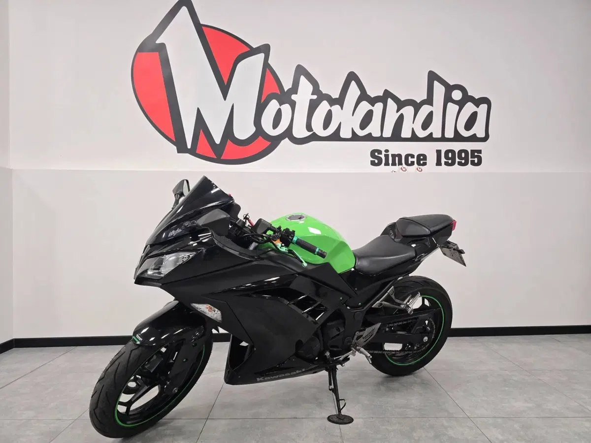 Kawasaki Ninja 300 (2012 - 14) (2)