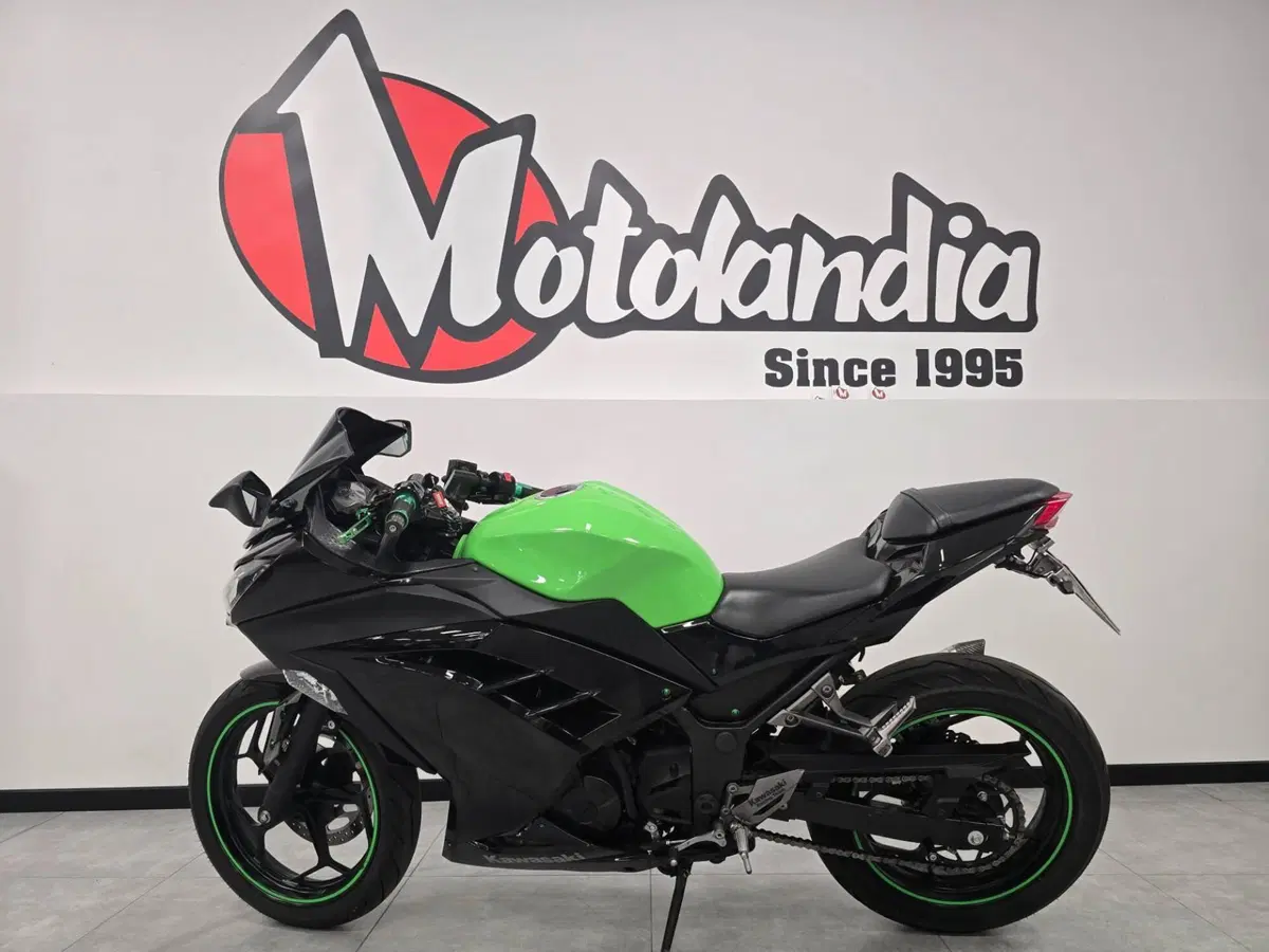Kawasaki Ninja 300 (2012 - 14) (3)