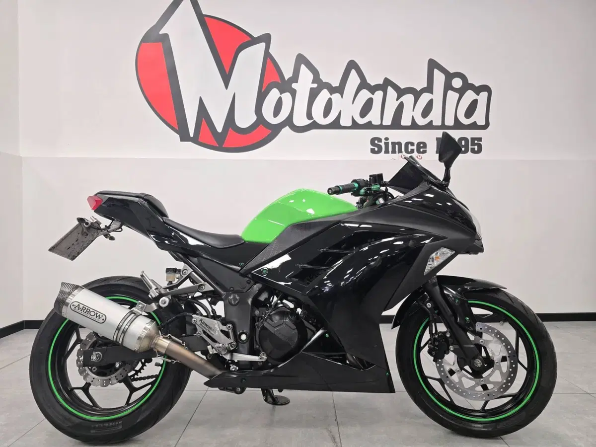 Kawasaki Ninja 300 (2012 - 14) (4)