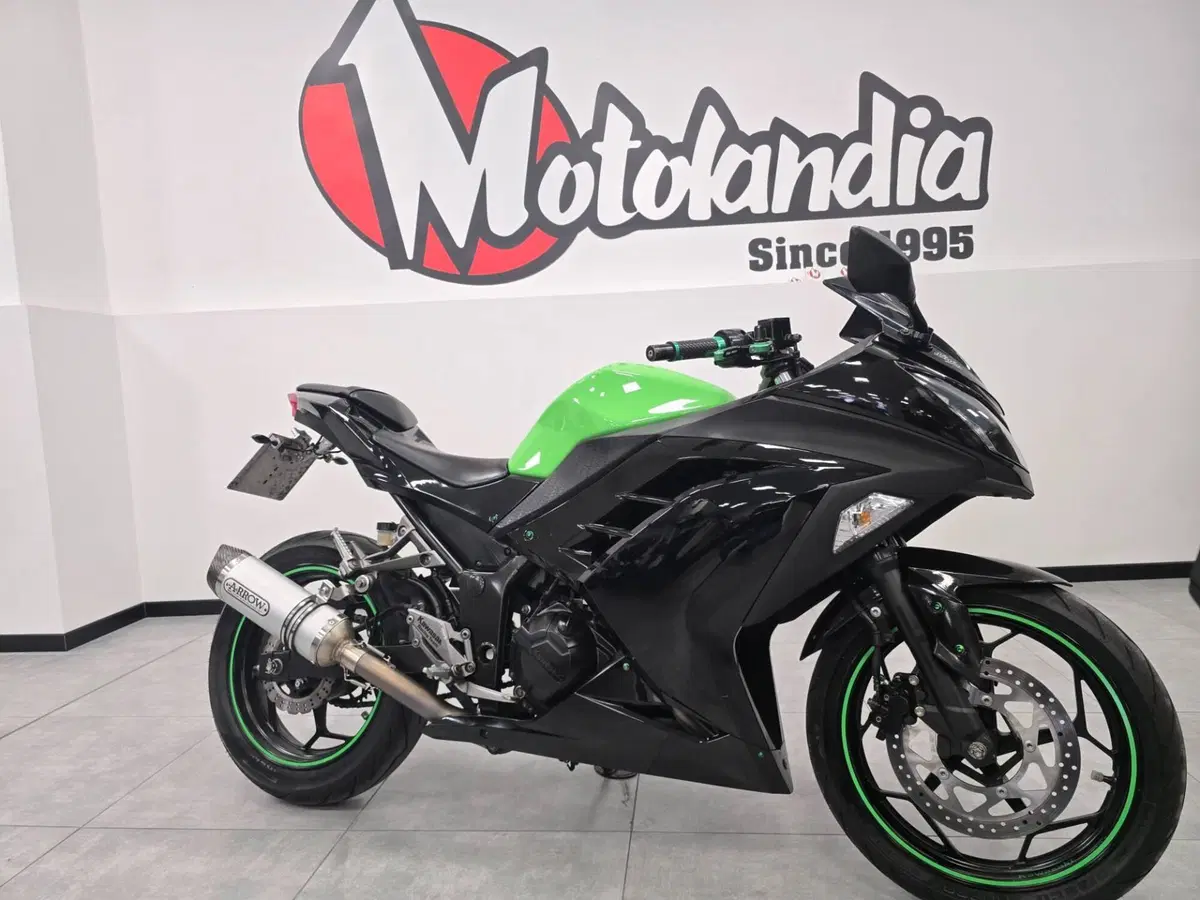 Kawasaki Ninja 300 (2012 - 14)