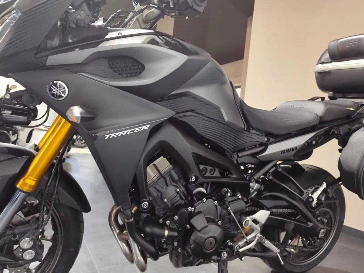 Yamaha Tracer 900 ABS (2015 - 16) (5)