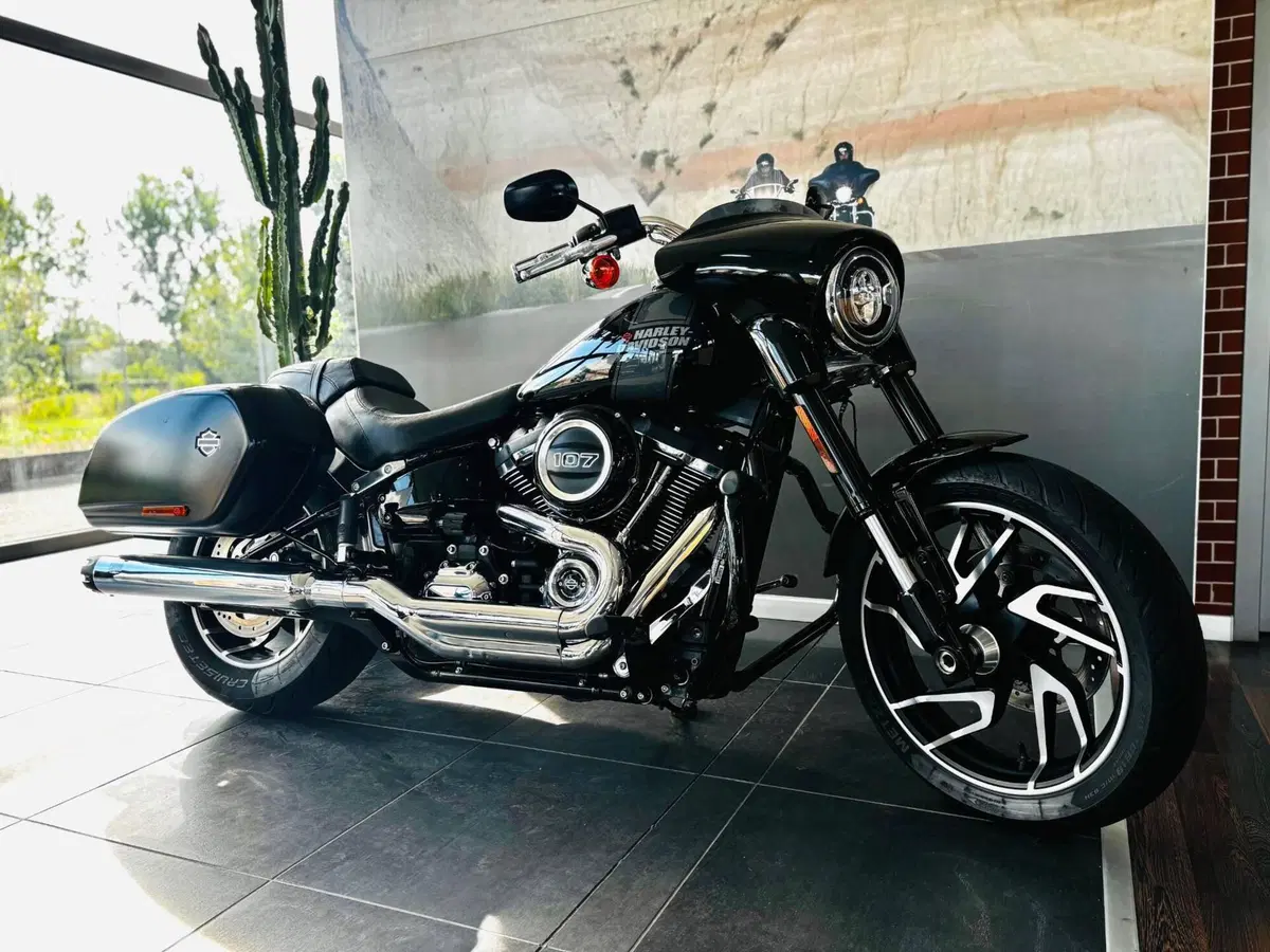 Harley-Davidson Sport Glide (2021 - 25) (2)