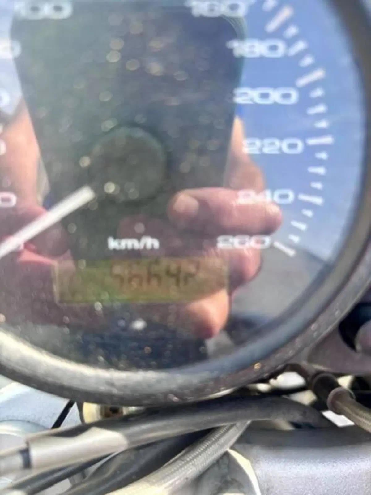Ducati Monster 620 (2003 - 06) (8)