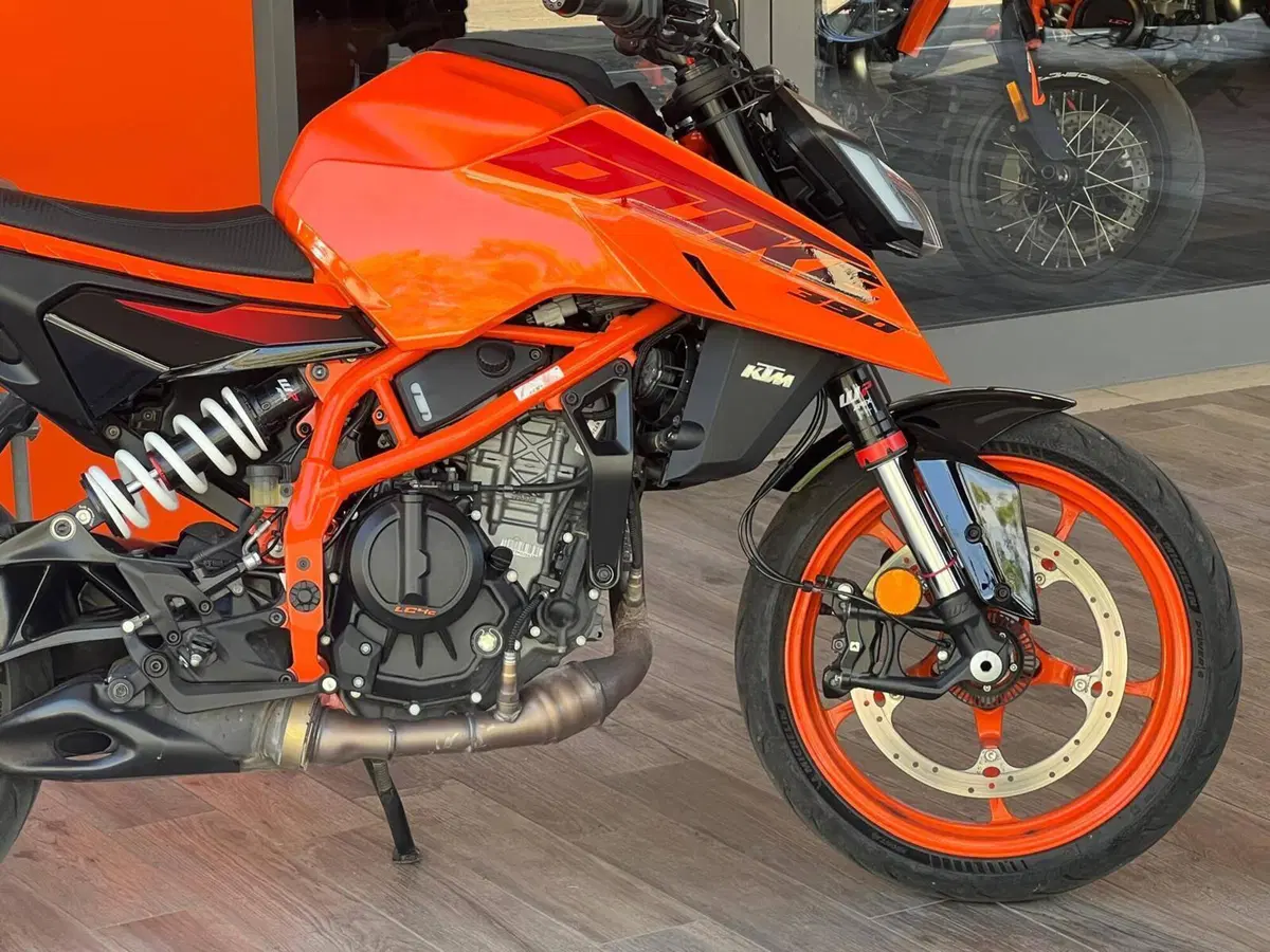 KTM 390 Duke (2024 - 25) (4)