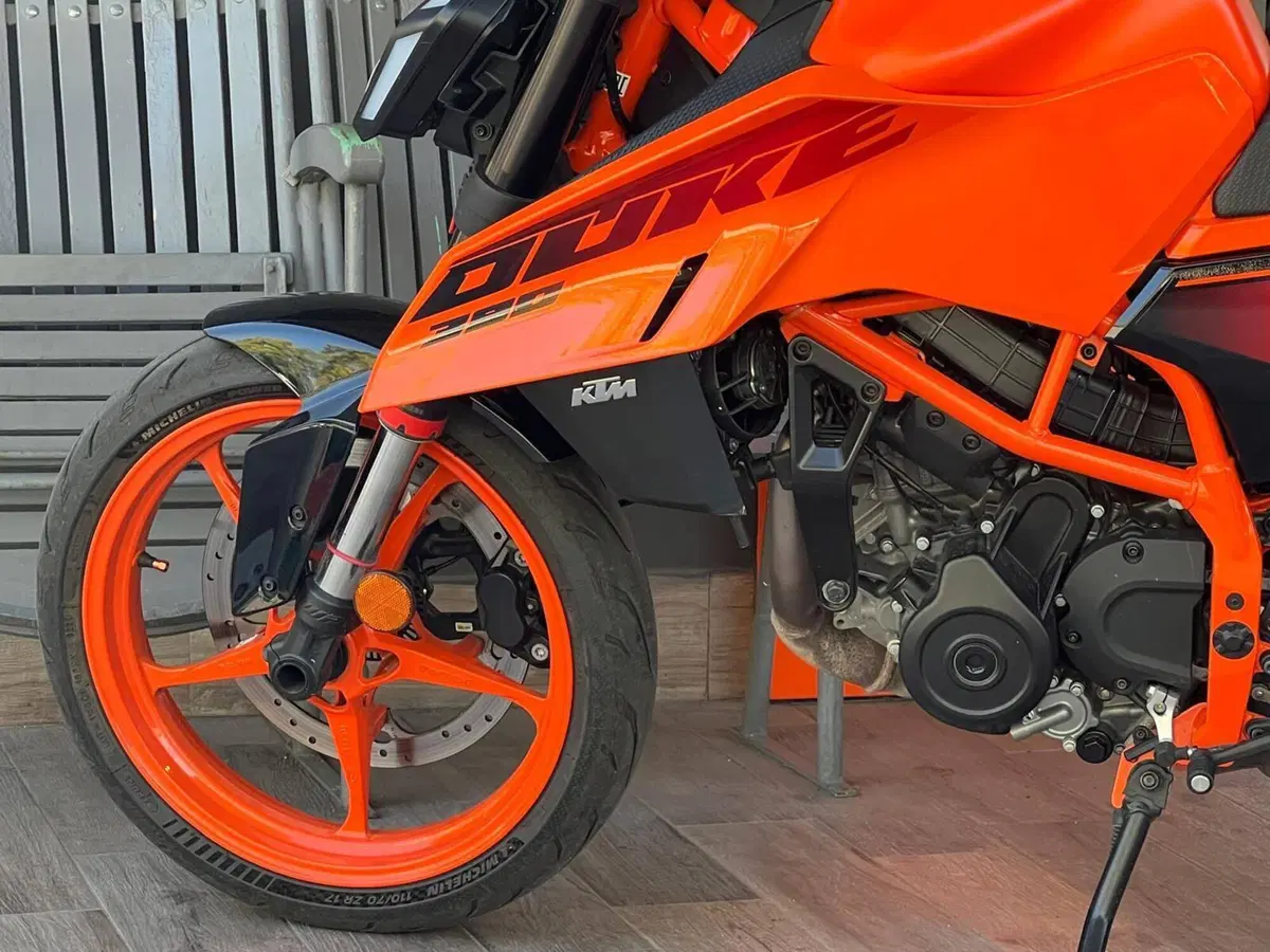 KTM 390 Duke (2024 - 25) (6)
