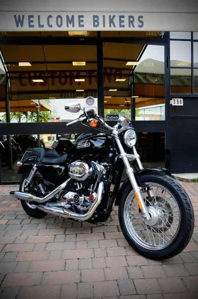Harley-Davidson 1200 Low (2006 - 07) - XL 1200L usata
