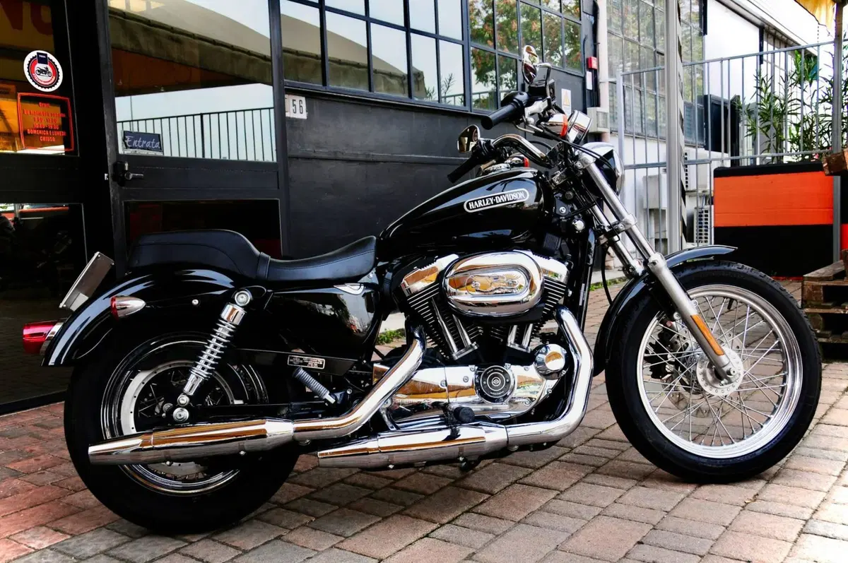 Harley-Davidson 1200 Low (2006 - 07) - XL 1200L (2)