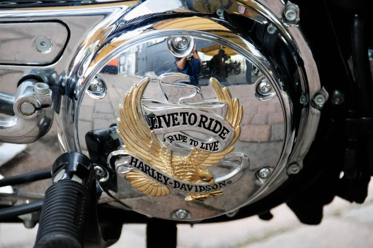 Harley-Davidson 1200 Low (2006 - 07) - XL 1200L (6)