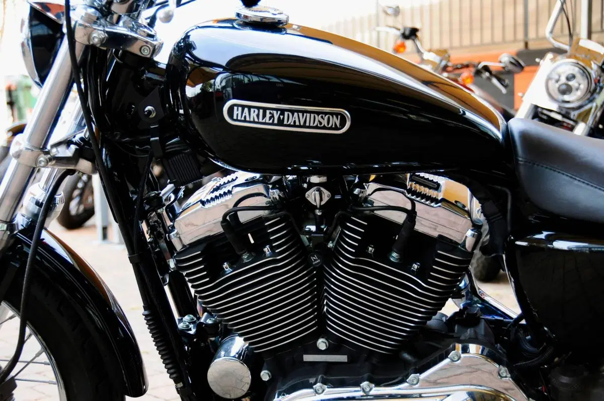Harley-Davidson 1200 Low (2006 - 07) - XL 1200L (7)