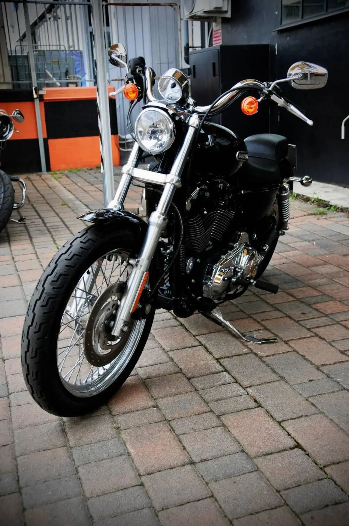 Harley-Davidson 1200 Low (2006 - 07) - XL 1200L (10)