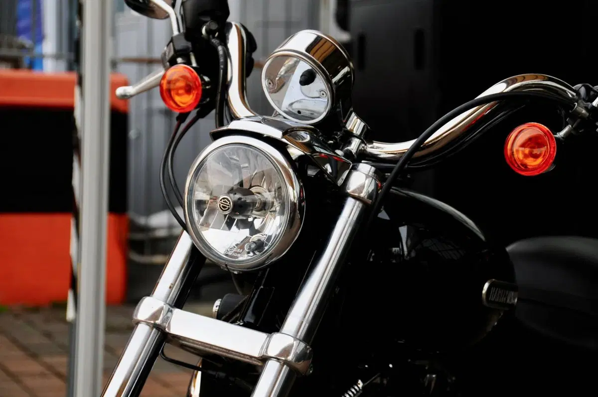 Harley-Davidson 1200 Low (2006 - 07) - XL 1200L (11)