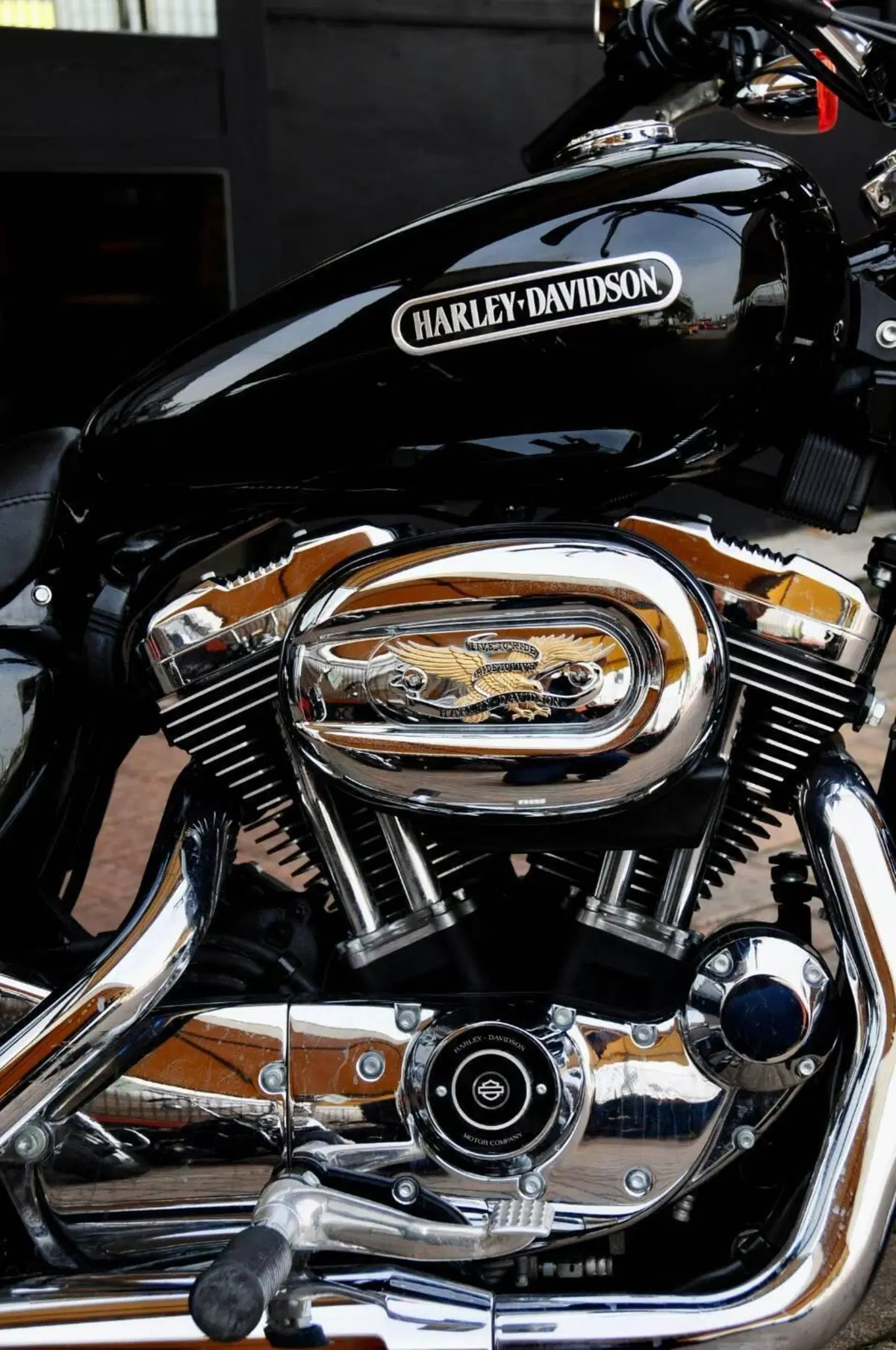 Harley-Davidson 1200 Low (2006 - 07) - XL 1200L (12)