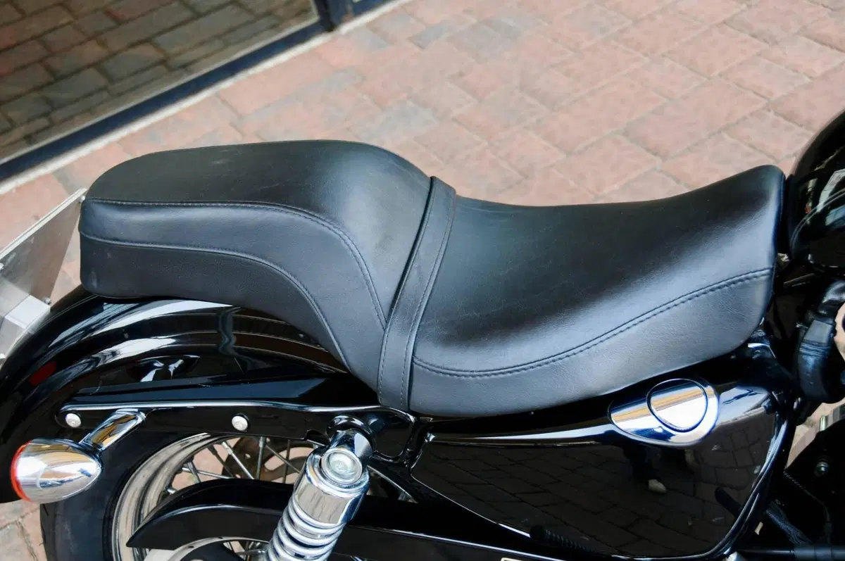 Harley-Davidson 1200 Low (2006 - 07) - XL 1200L (13)