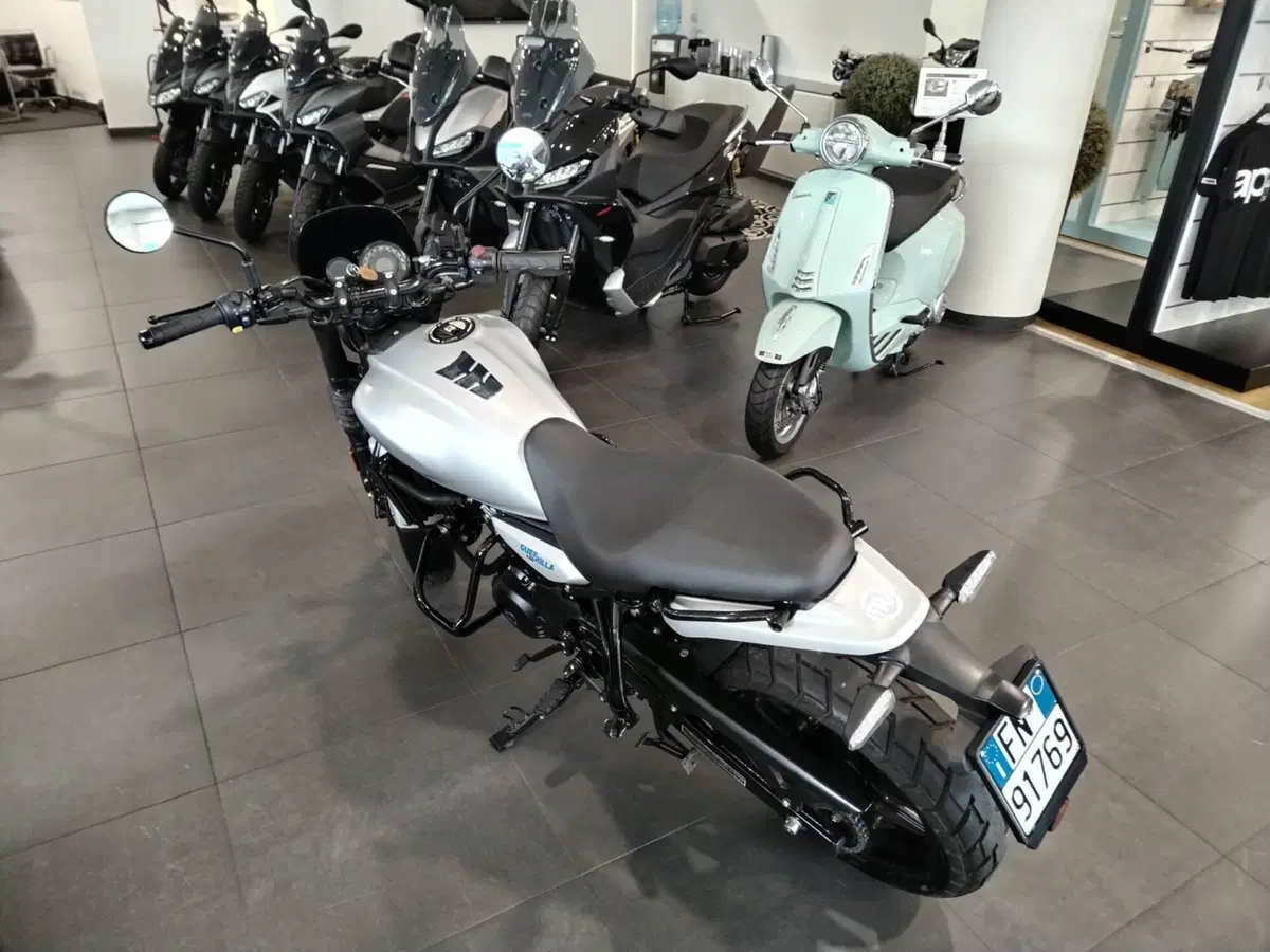 Royal Enfield Guerrilla 450 (2024 - 26) (3)
