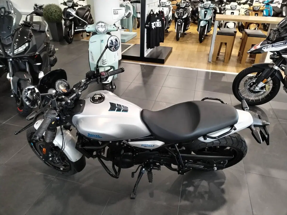 Royal Enfield Guerrilla 450 (2024 - 26) (4)