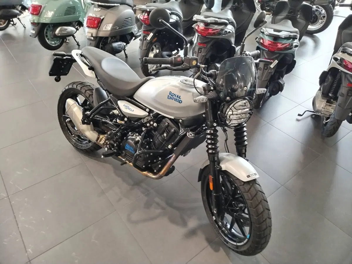 Royal Enfield Guerrilla 450 (2024 - 26) (6)