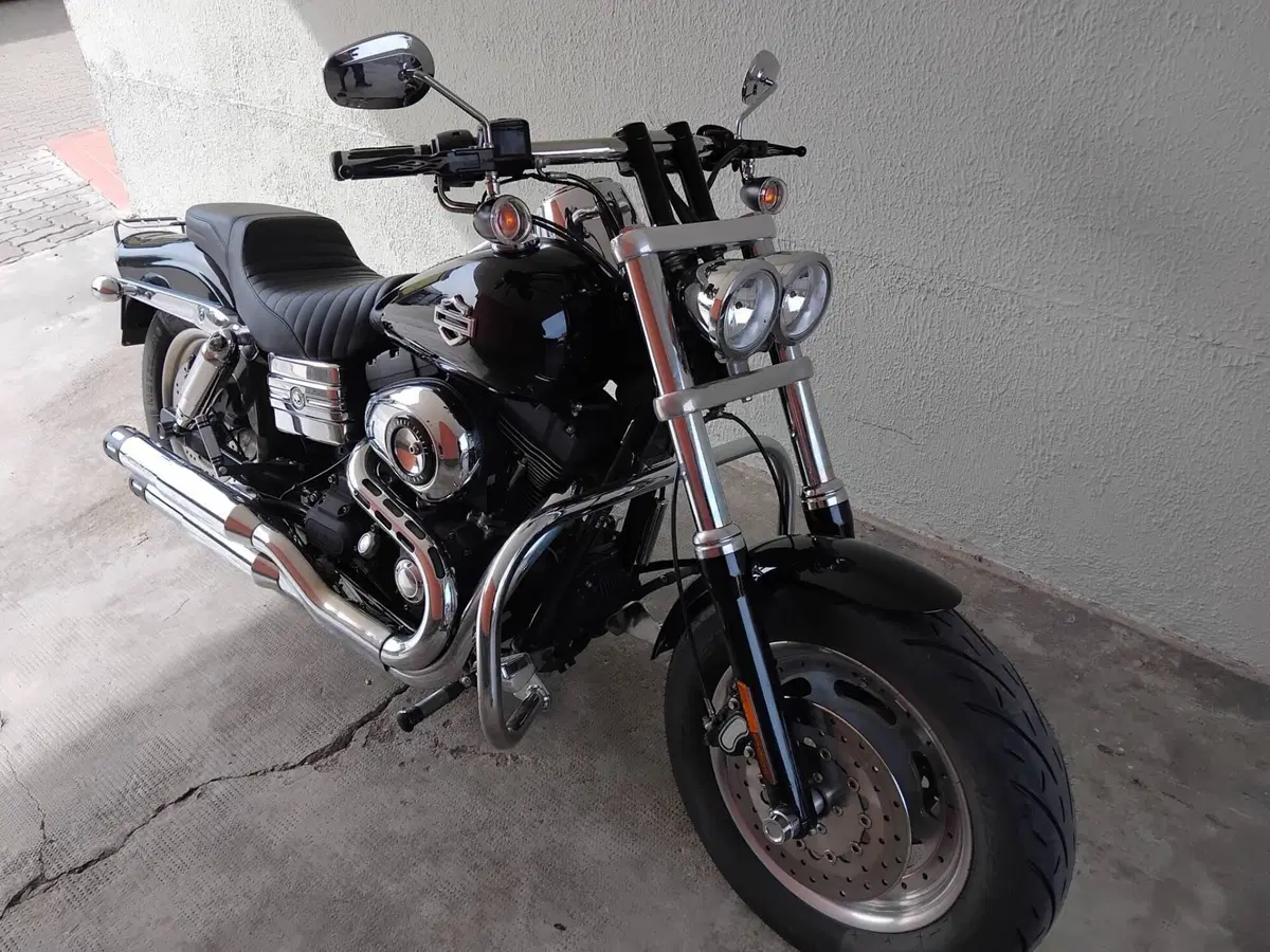 Harley-Davidson 1584 Fat Bob (2007 - 13) - FXDF (2)