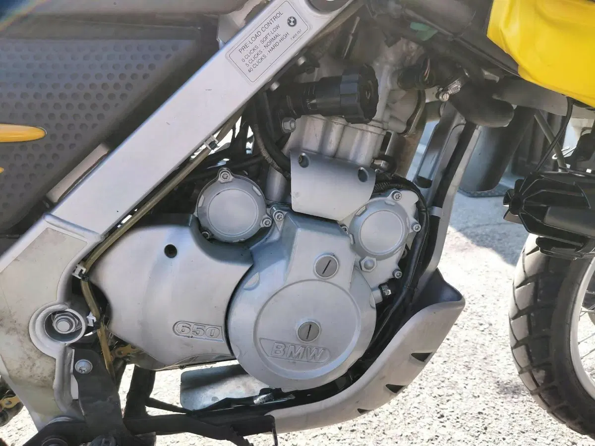 Bmw F 650 GS (2000 - 03) (8)
