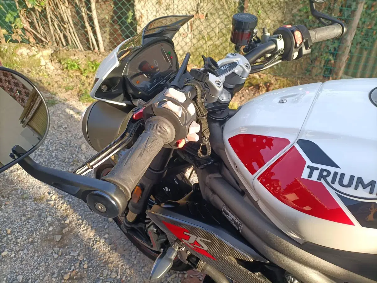 Triumph Speed Triple 1050 RS (2018 - 20) (2)