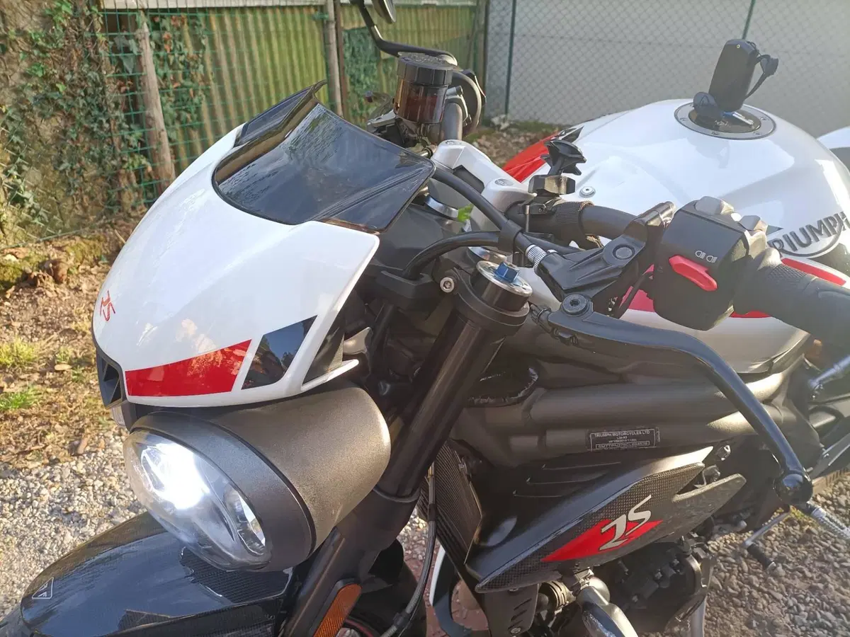 Triumph Speed Triple 1050 RS (2018 - 20) (3)