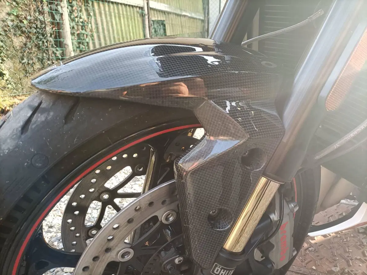 Triumph Speed Triple 1050 RS (2018 - 20) (5)