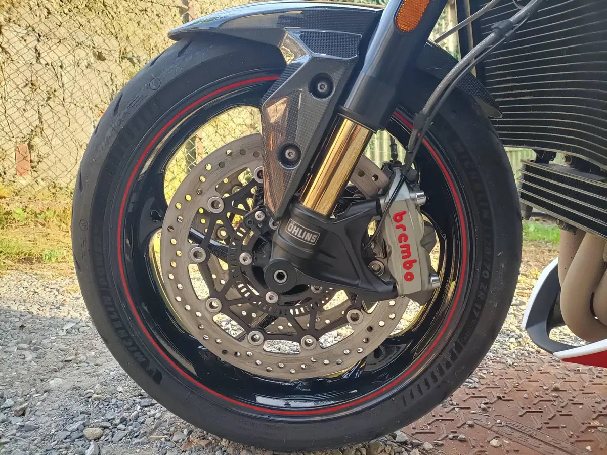 Triumph Speed Triple 1050 RS (2018 - 20) (6)