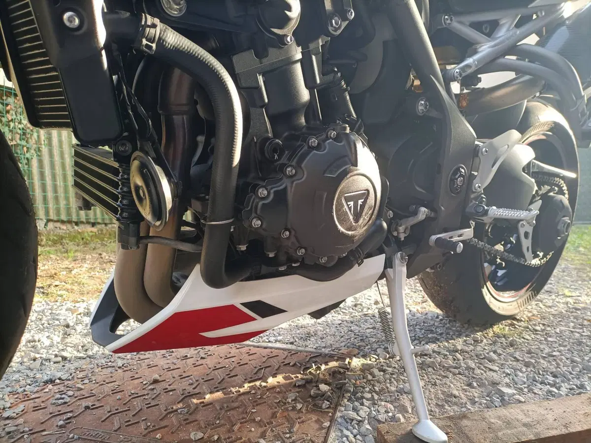 Triumph Speed Triple 1050 RS (2018 - 20) (7)