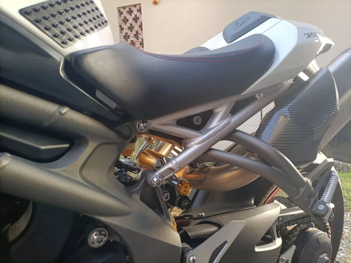 Triumph Speed Triple 1050 RS (2018 - 20) (9)