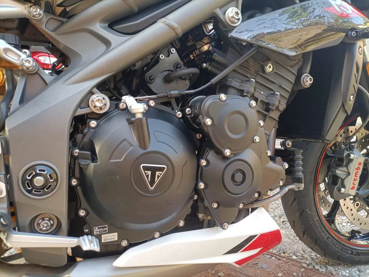 Triumph Speed Triple 1050 RS (2018 - 20) (15)