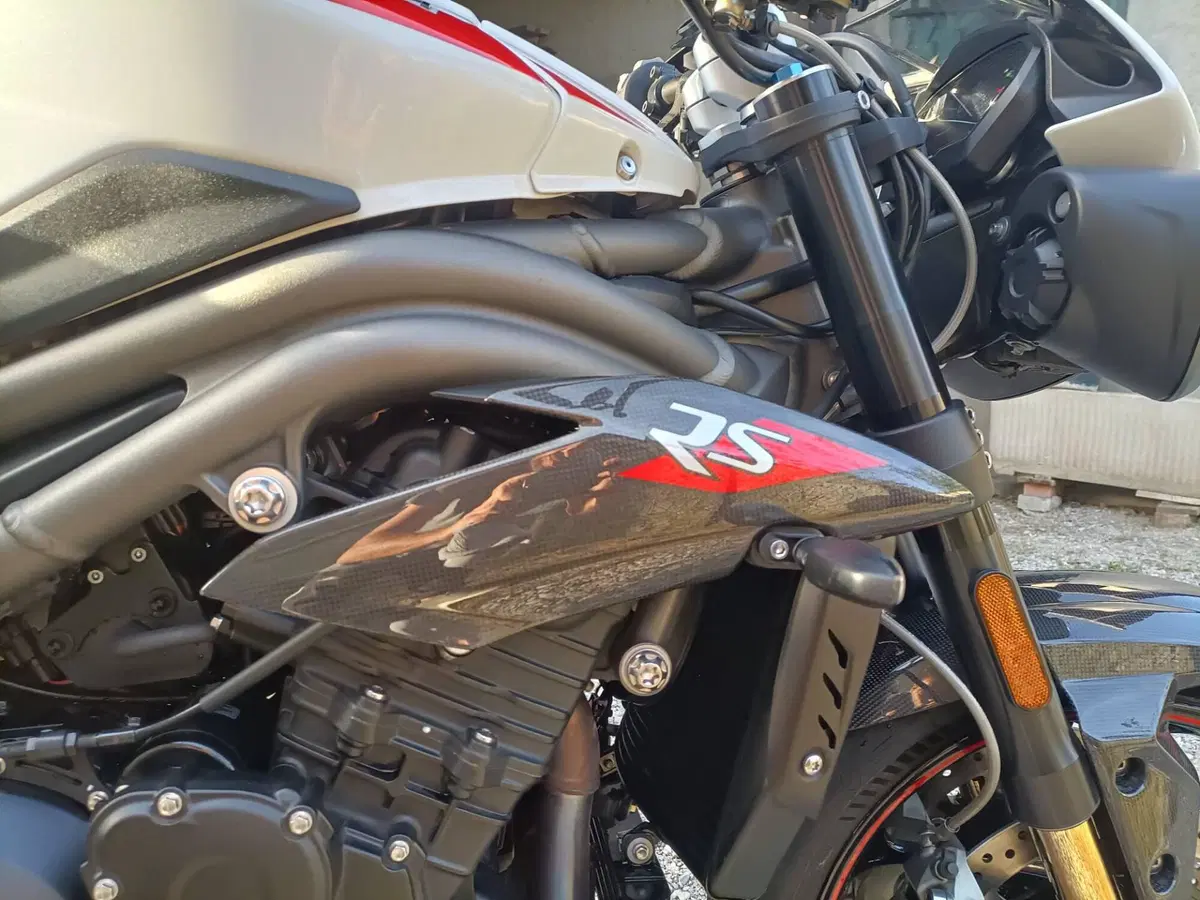 Triumph Speed Triple 1050 RS (2018 - 20) (16)