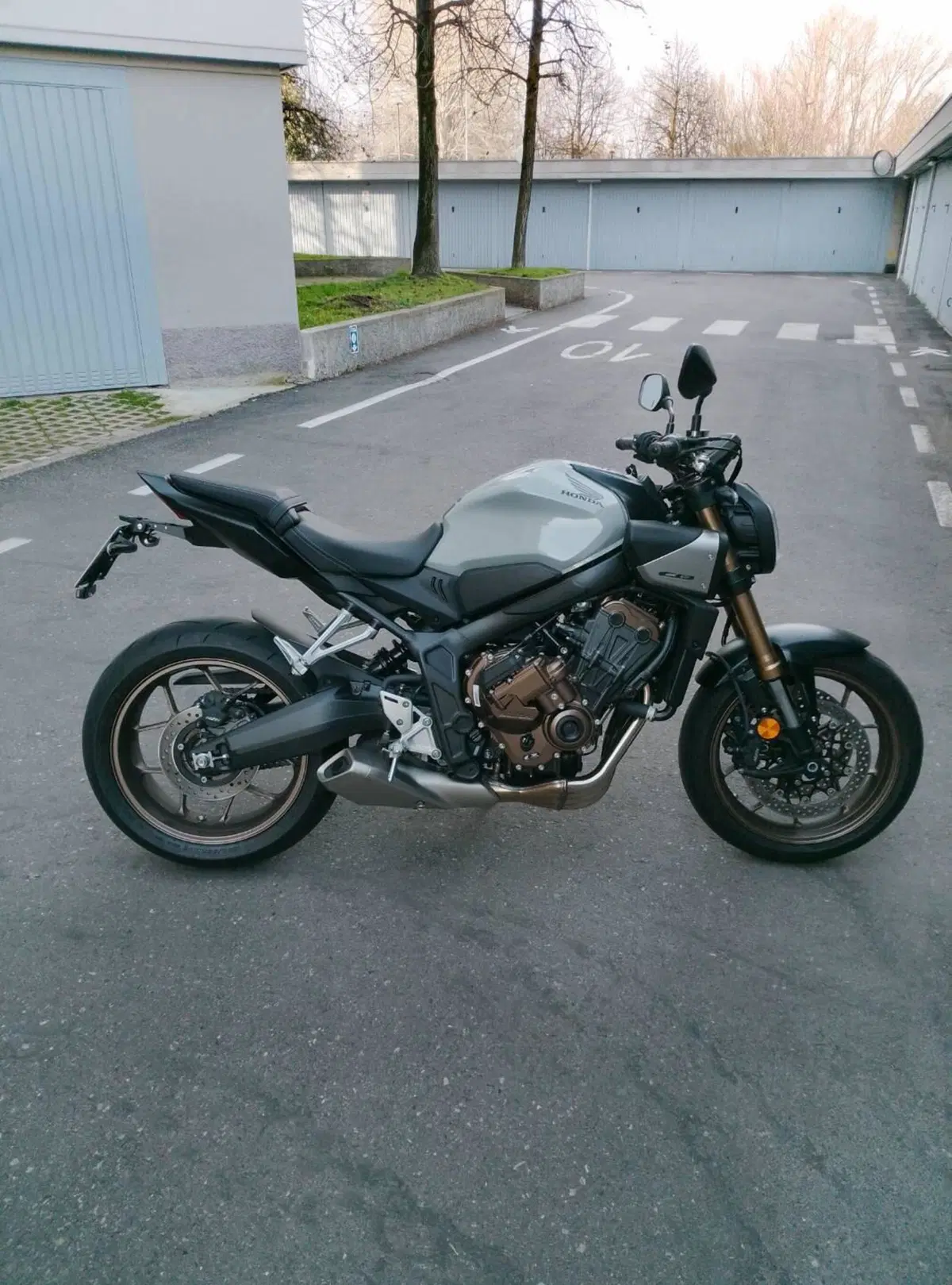 Honda CB 650 R E-Clutch (2024 - 26) (3)