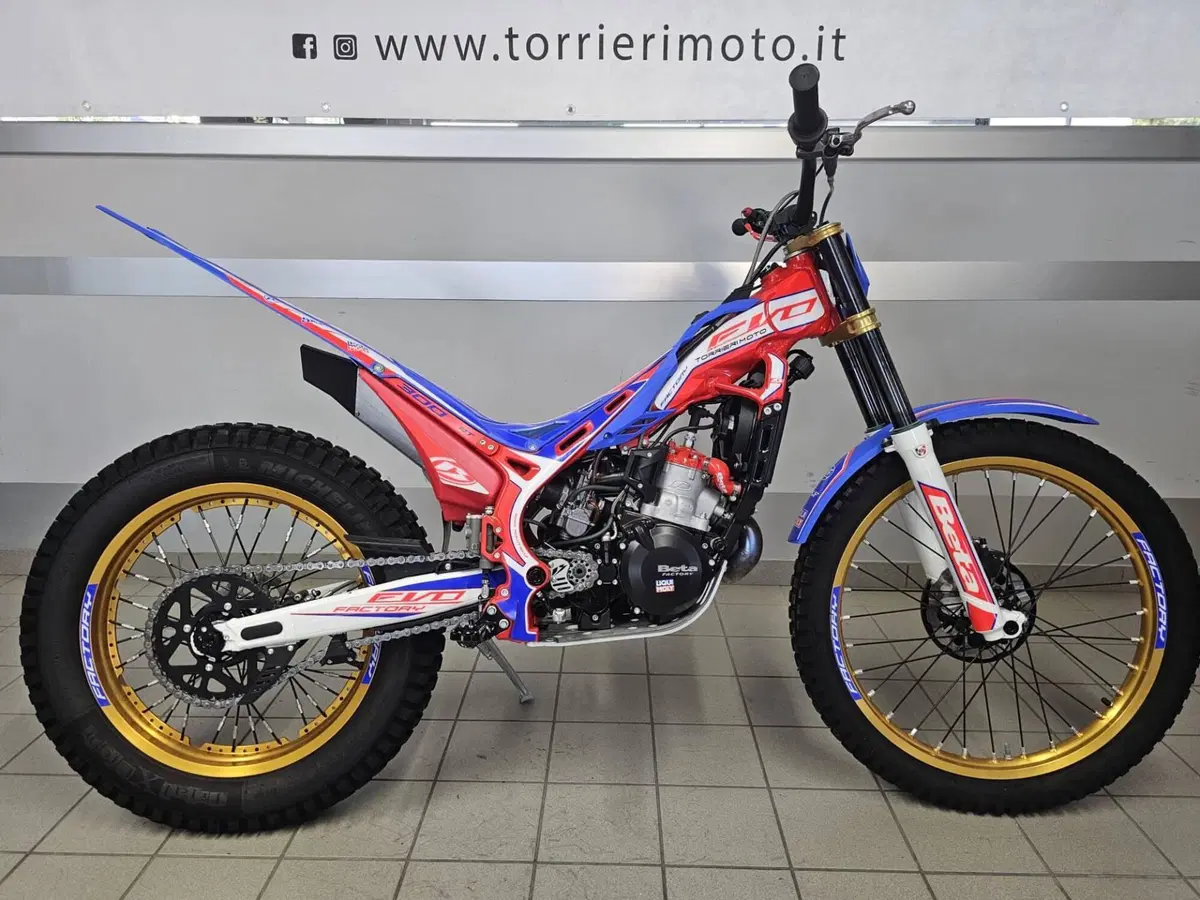 Betamotor Evo 300 2T Factory (2024) (3)