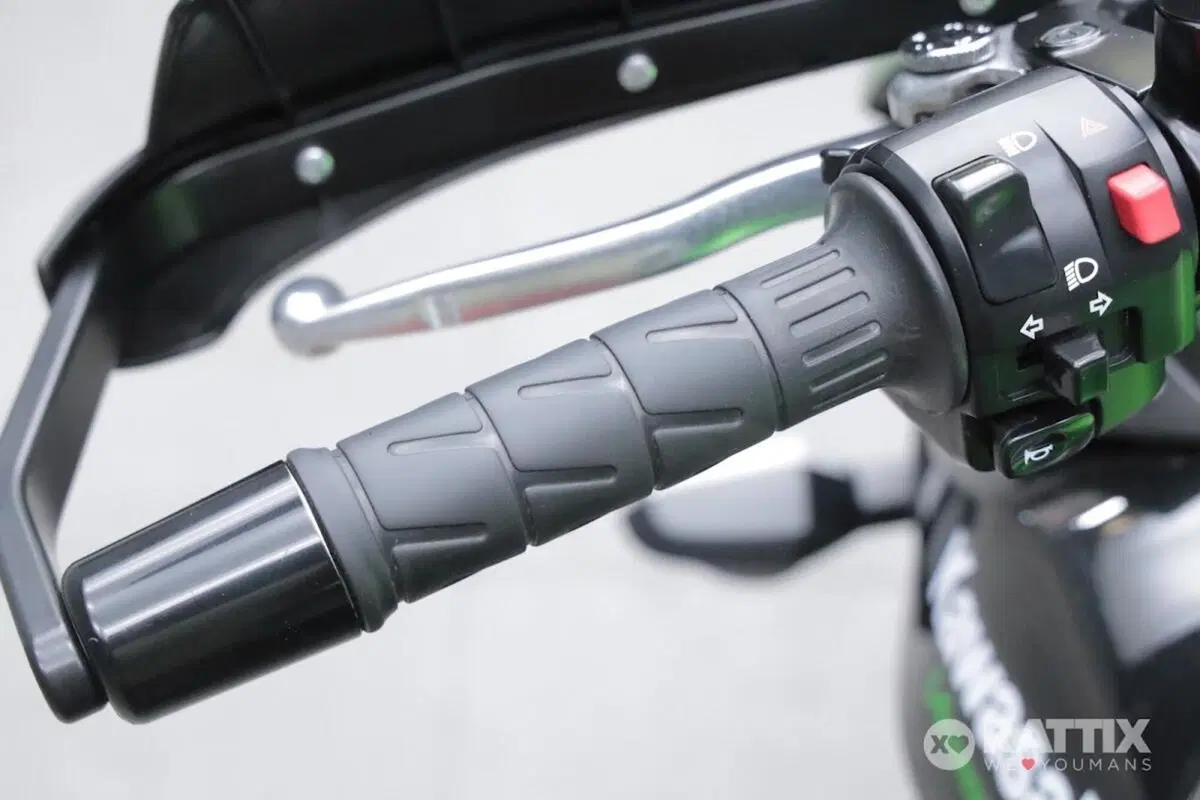 Kawasaki Versys 650 (2017 - 20) (11)