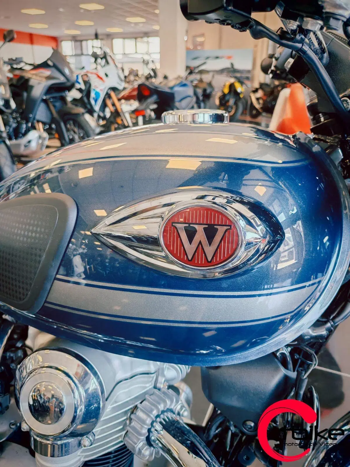 Kawasaki W 800 (2021 - 26) (6)