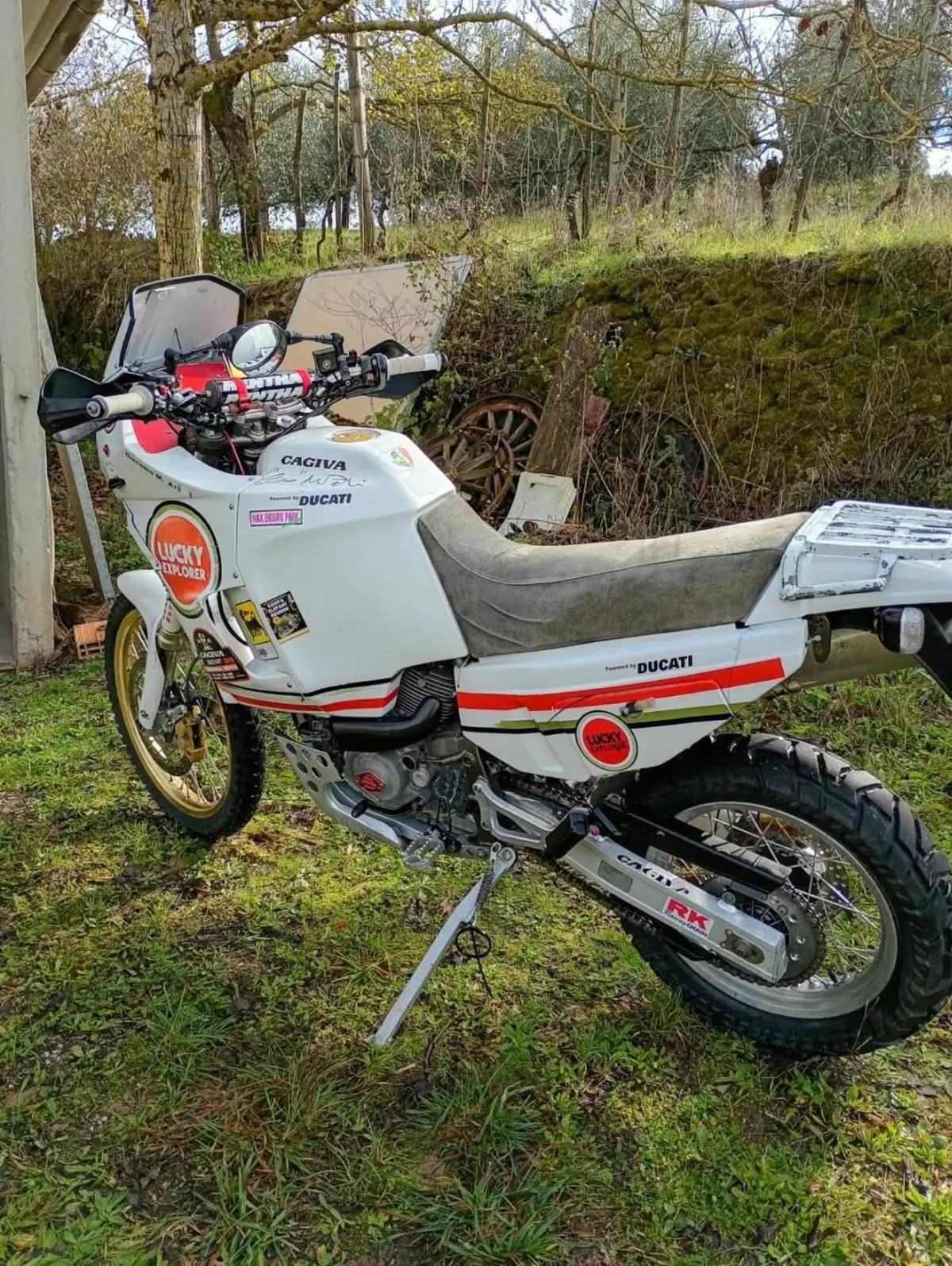 Cagiva Elefant 900 AC (1993 - 98) (4)